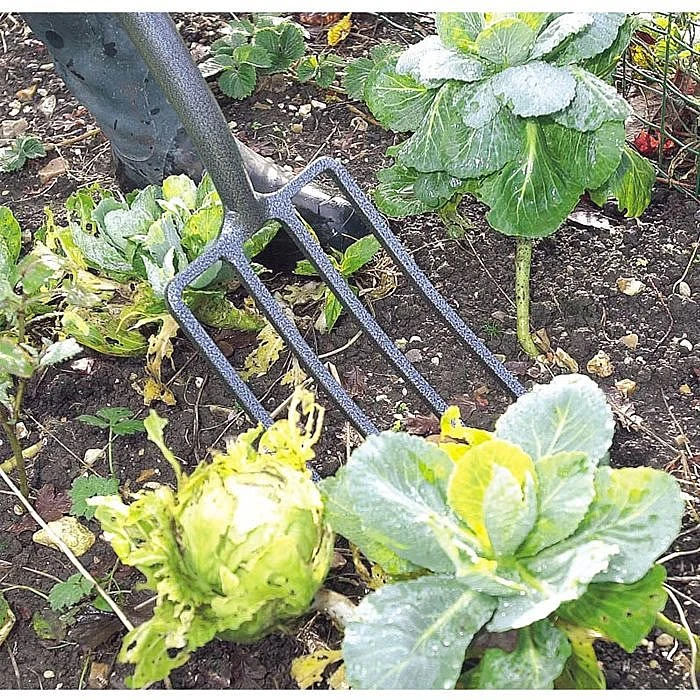 Draper 88789 Carbon Steel Garden Fork 5 Draper 88789 Carbon Steel Garden Fork - Image 3