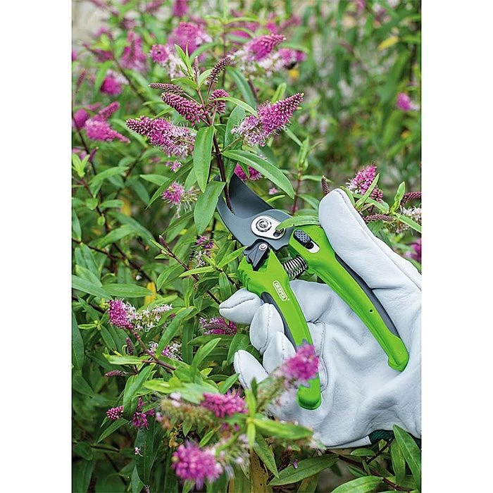 Draper 45316 200mm Soft Grip Bypass Pattern Secateurs 5 Draper 45316 200mm Soft Grip Bypass Pattern Secateurs - Image 3