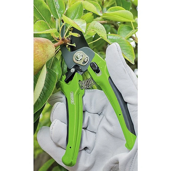 Draper 45316 200mm Soft Grip Bypass Pattern Secateurs 6 Draper 45316 200mm Soft Grip Bypass Pattern Secateurs - Image 4