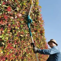 Makita DUN461WZ 18V Telescopic Pole Hedge Trimmer Body Only -Draper || DeWALT || Stanley Sales 0104075 700